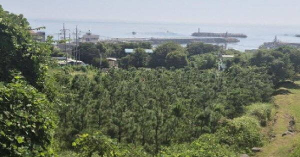 울산광역시 북구 정자동 361 전 경매 물건 이미지
