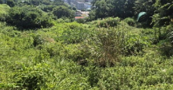 울산광역시 북구 정자동 360 전 경매 물건 이미지