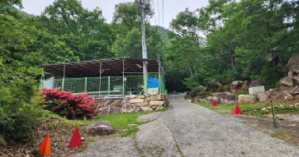 경상남도 양산시 원동면 내포리 237 답 경매 물건 이미지
