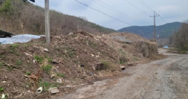 경상남도 의령군 지정면 태부리 781 답 경매 물건 이미지