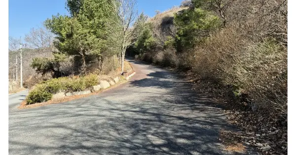 충청남도 금산군 제원면 용화리 124-17 임야 경매 물건 이미지