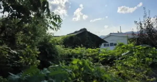 경상북도 성주군 벽진면 수촌리 974  단독주택 경매 물건 이미지