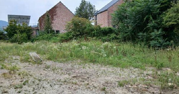 경기도 용인시 처인구 양지읍 평창리 313-80  미지정 경매 물건 이미지