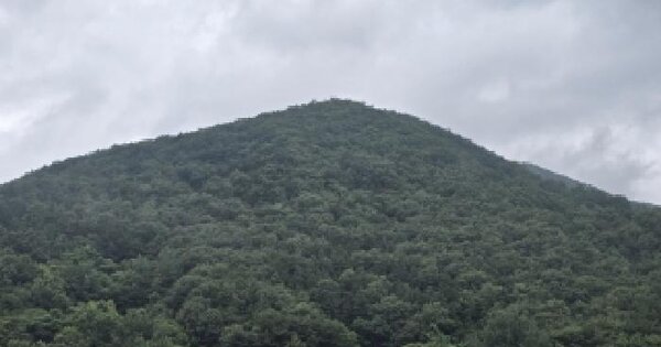 전라남도 구례군 토지면 송정리 산66-1  미지정 경매 물건 이미지