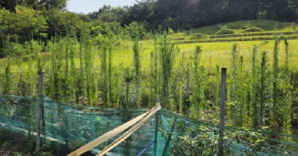 경상북도 성주군 선남면 용신리 713  미지정 경매 물건 이미지