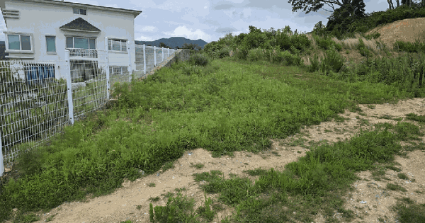 경상남도 창원시 마산합포구 구산면 구복리 산15-7  미지정 경매 물건 이미지
