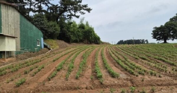전북특별자치도 김제시 죽산면 죽산리 312-2  미지정 경매 물건 이미지