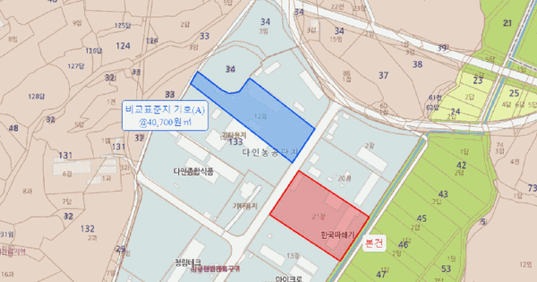 경상북도 의성군 다인면 가원리 133-21  미지정 경매 물건 이미지