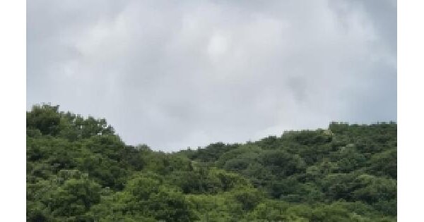 전라남도 화순군 화순읍 세량리 산12  미지정 경매 물건 이미지