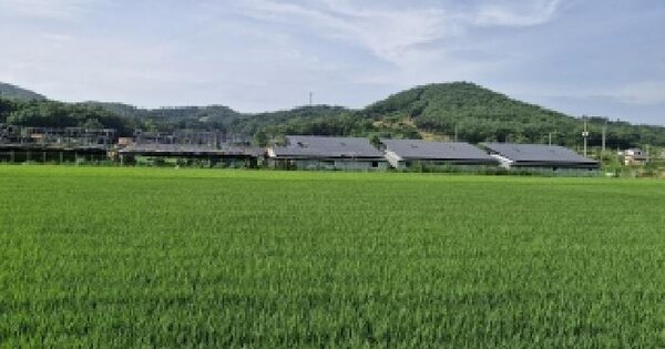 충청남도 서천군 화양면 남성리 241-11  미지정 경매 물건 이미지