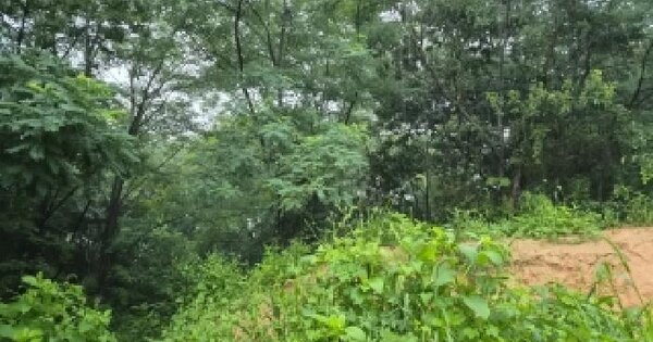 전북특별자치도 김제시 백산면 수록리 산86-2  미지정 경매 물건 이미지