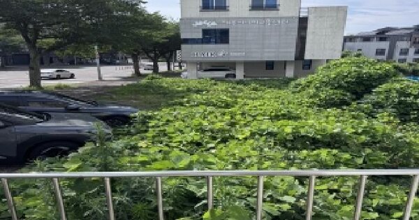 제주특별자치도 제주시 아라일동 6140-12  미지정 경매 물건 이미지