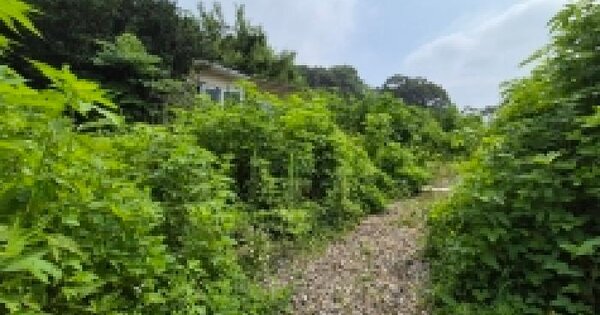 경기도 연천군 미산면 아미리 341  미지정 경매 물건 이미지