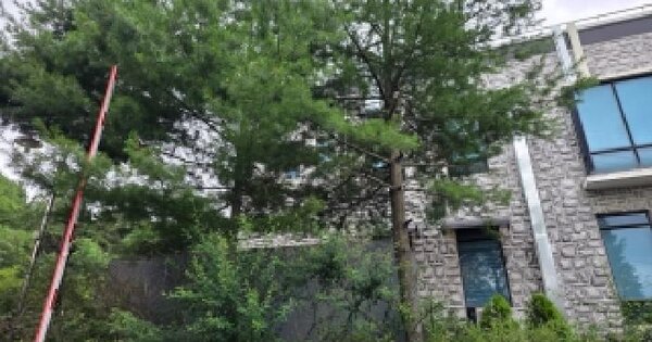 경기도 파주시 탄현면 대동리 27-9  미지정 경매 물건 이미지