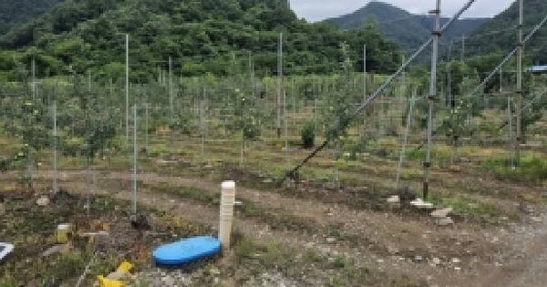 충청북도 괴산군 연풍면 유상리 290-1  미지정 경매 물건 이미지