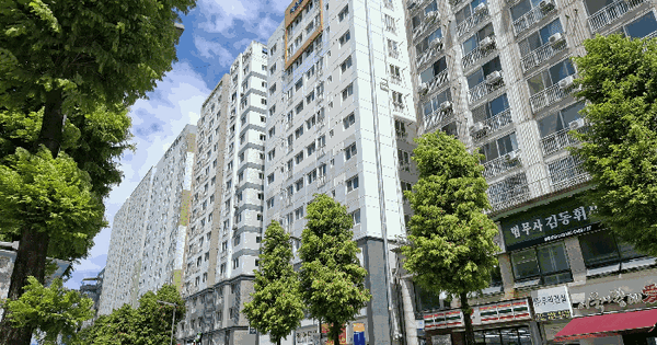 대전광역시 유성구 봉명동 640-6 라온팰리스 1동 2층203호 미지정 경매 물건 이미지