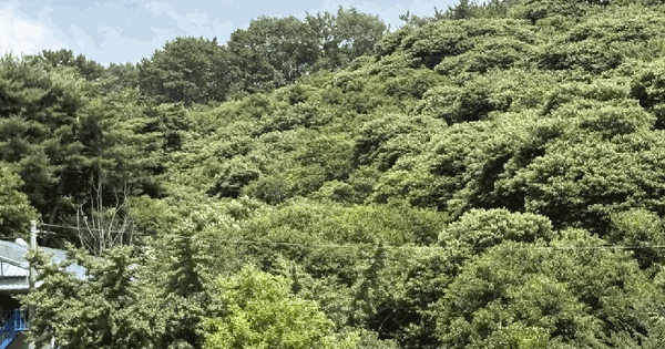 충청남도 공주시 의당면 덕학리 429-2  미지정 경매 물건 이미지