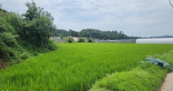 충청북도 옥천군 청산면 인정리 1288  미지정 경매 물건 이미지
