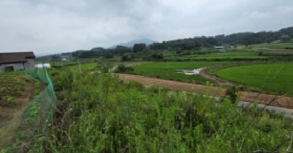 충청남도 홍성군 홍북읍 봉신리 297-5  미지정 경매 물건 이미지