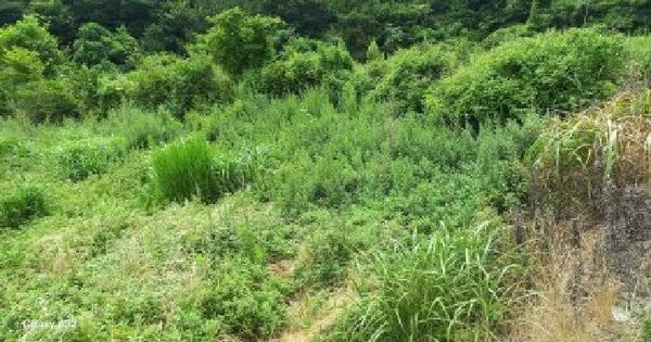 경상남도 거제시 남부면 다포리 72  미지정 경매 물건 이미지