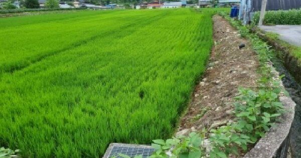 전북특별자치도 장수군 번암면 죽림리 688  미지정 경매 물건 이미지