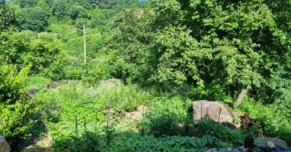 전북특별자치도 남원시 산내면 중황리 603  미지정 경매 물건 이미지