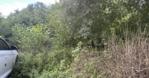 충청북도 진천군 덕산읍 합목리 330-9  미지정 경매 물건 이미지