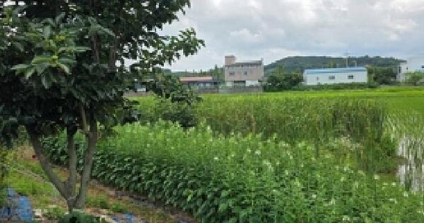 충청남도 예산군 삽교읍 두리 551-3  미지정 경매 물건 이미지