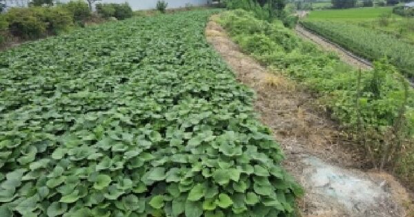 충청북도 청주시 청원구 북이면 내추리 122-1  미지정 경매 물건 이미지