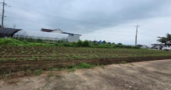 충청남도 예산군 오가면 양막리 136-1  미지정 경매 물건 이미지