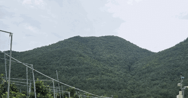경상북도 포항시 북구 죽장면 상옥리 산145  미지정 경매 물건 이미지