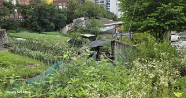 경상북도 구미시 도량동 681-2  미지정 경매 물건 이미지
