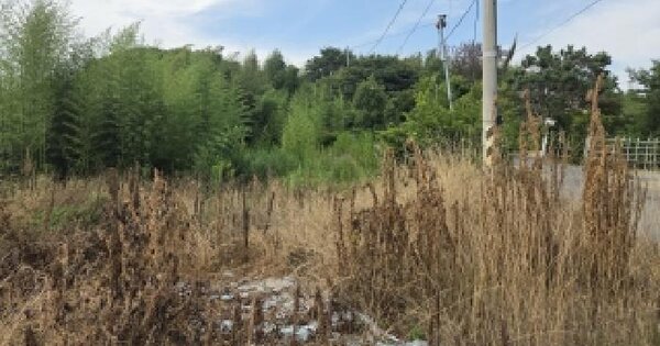 경상남도 창원시 의창구 대산면 북부리 311  미지정 경매 물건 이미지