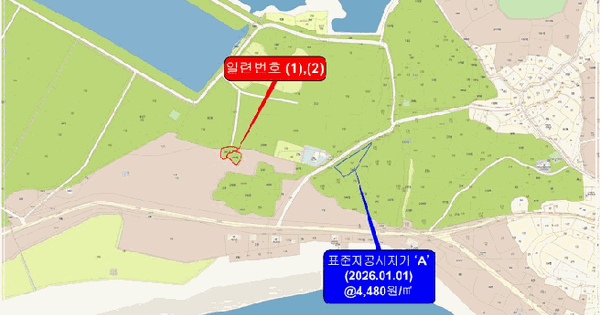 전라남도 완도군 금일읍 사동리 260  미지정 경매 물건 이미지