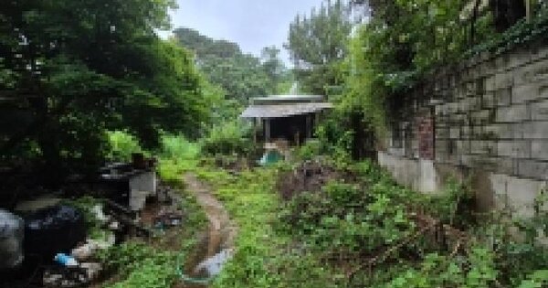 경기도 포천시 신북면 신평리 509  미지정 경매 물건 이미지