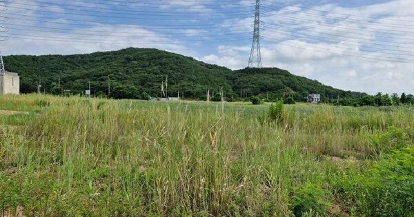 경기도 안산시 단원구 대부북동 1865-476  미지정 경매 물건 이미지