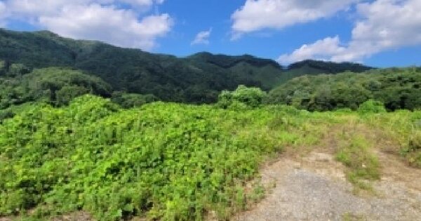 충청북도 청주시 상당구 가덕면 한계리 산38-9  미지정 경매 물건 이미지