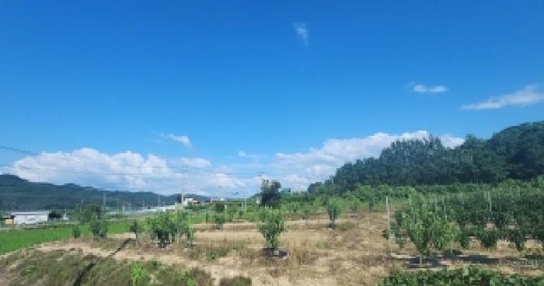 충청북도 옥천군 이원면 원동리 274-3  미지정 경매 물건 이미지