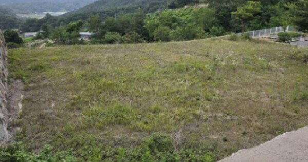 경상북도 성주군 수륜면 봉양리 287-4  미지정 경매 물건 이미지