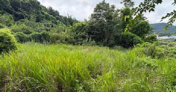 경상남도 거제시 수월동 309  미지정 경매 물건 이미지
