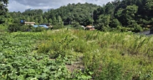 경상남도 고성군 회화면 봉동리 1000-1  미지정 경매 물건 이미지