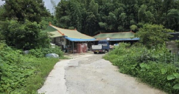 전남광주통합특별시 장흥군 관산읍 하발리 772  미지정 경매 물건 이미지