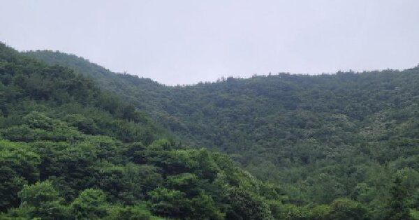 전라남도 고흥군 점암면 장남리 산179  미지정 경매 물건 이미지
