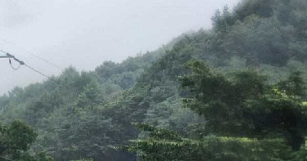 경기도 가평군 북면 백둔리 산236  미지정 경매 물건 이미지