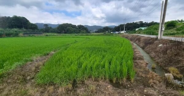 경기도 안성시 서운면 신능리 156-24  미지정 경매 물건 이미지