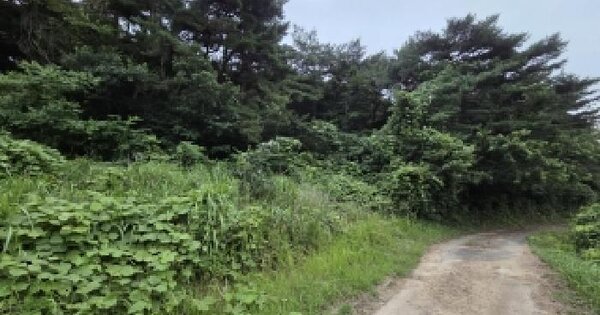 전라북도 고창군 부안면 검산리 산88-8  미지정 경매 물건 이미지