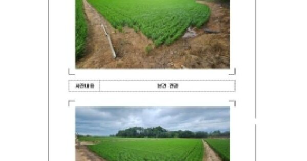 전라남도 영암군 시종면 와우리 1186-1  미지정 경매 물건 이미지