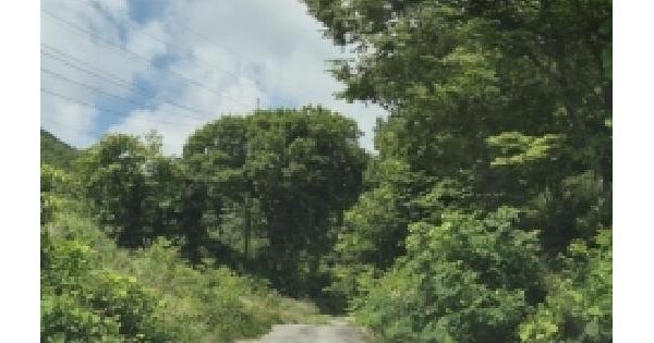 전라남도 장성군 삼계면 화산리 산137-27  미지정 경매 물건 이미지