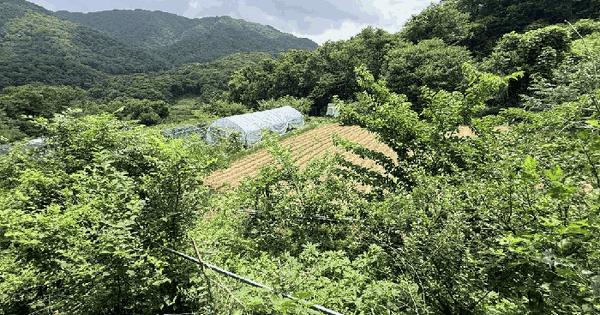 경기도 동두천시 탑동동 556  미지정 경매 물건 이미지