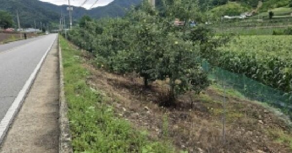 충청북도 괴산군 연풍면 유상리 555-1  미지정 경매 물건 이미지
